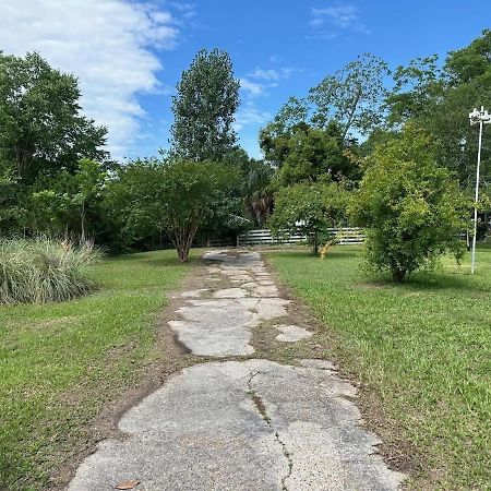 Bare Feet Bungalow -Close To Beach & Dog Friendly Gulfport Exteriör bild