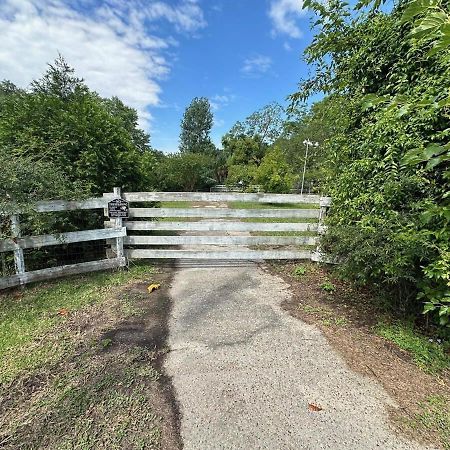 Bare Feet Bungalow -Close To Beach & Dog Friendly Gulfport Exteriör bild