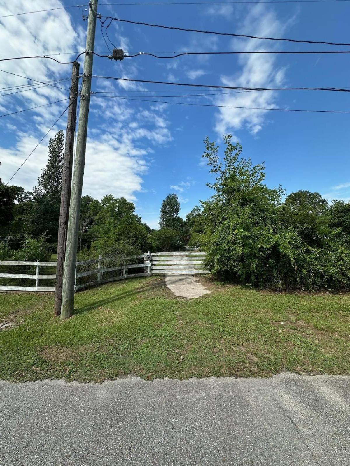 Bare Feet Bungalow -Close To Beach & Dog Friendly Gulfport Exteriör bild