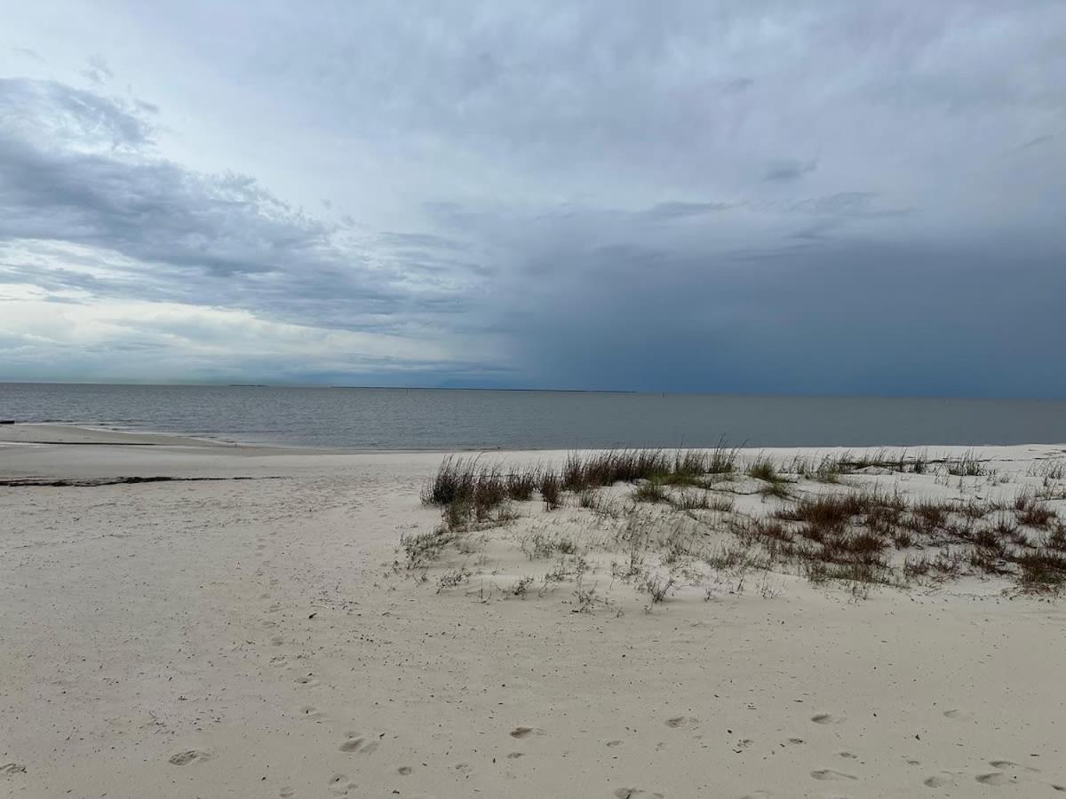 Bare Feet Bungalow -Close To Beach & Dog Friendly Gulfport Exteriör bild