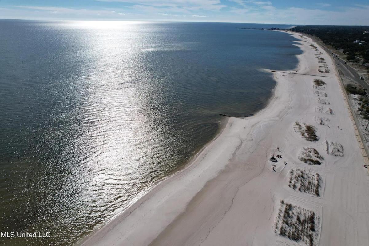 Bare Feet Bungalow -Close To Beach & Dog Friendly Gulfport Exteriör bild