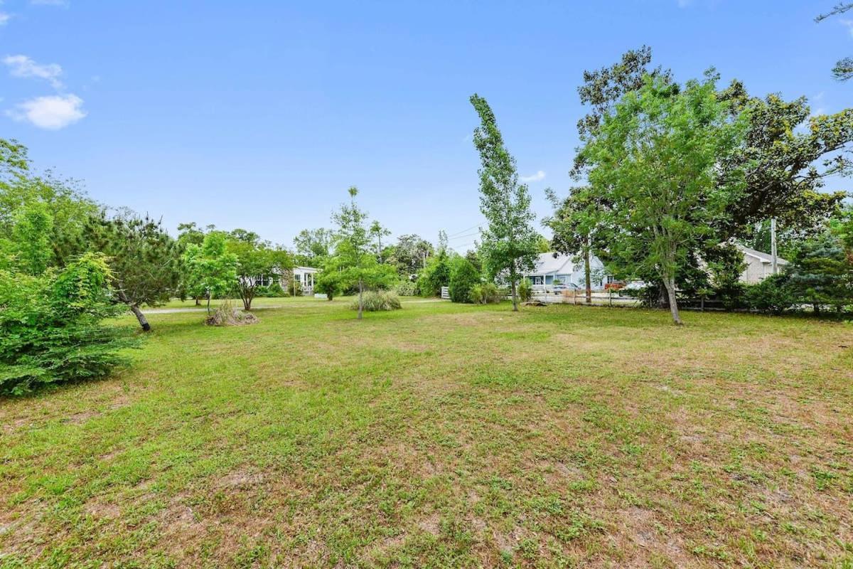 Bare Feet Bungalow -Close To Beach & Dog Friendly Gulfport Exteriör bild