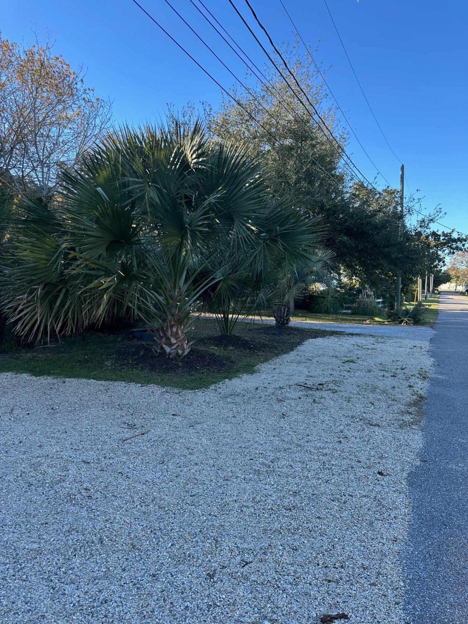Bare Feet Bungalow -Close To Beach & Dog Friendly Gulfport Exteriör bild